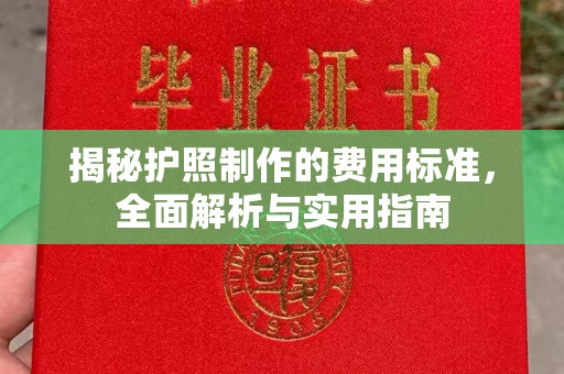 渭南揭秘护照制作的费用标准，全面解析与实用指南
